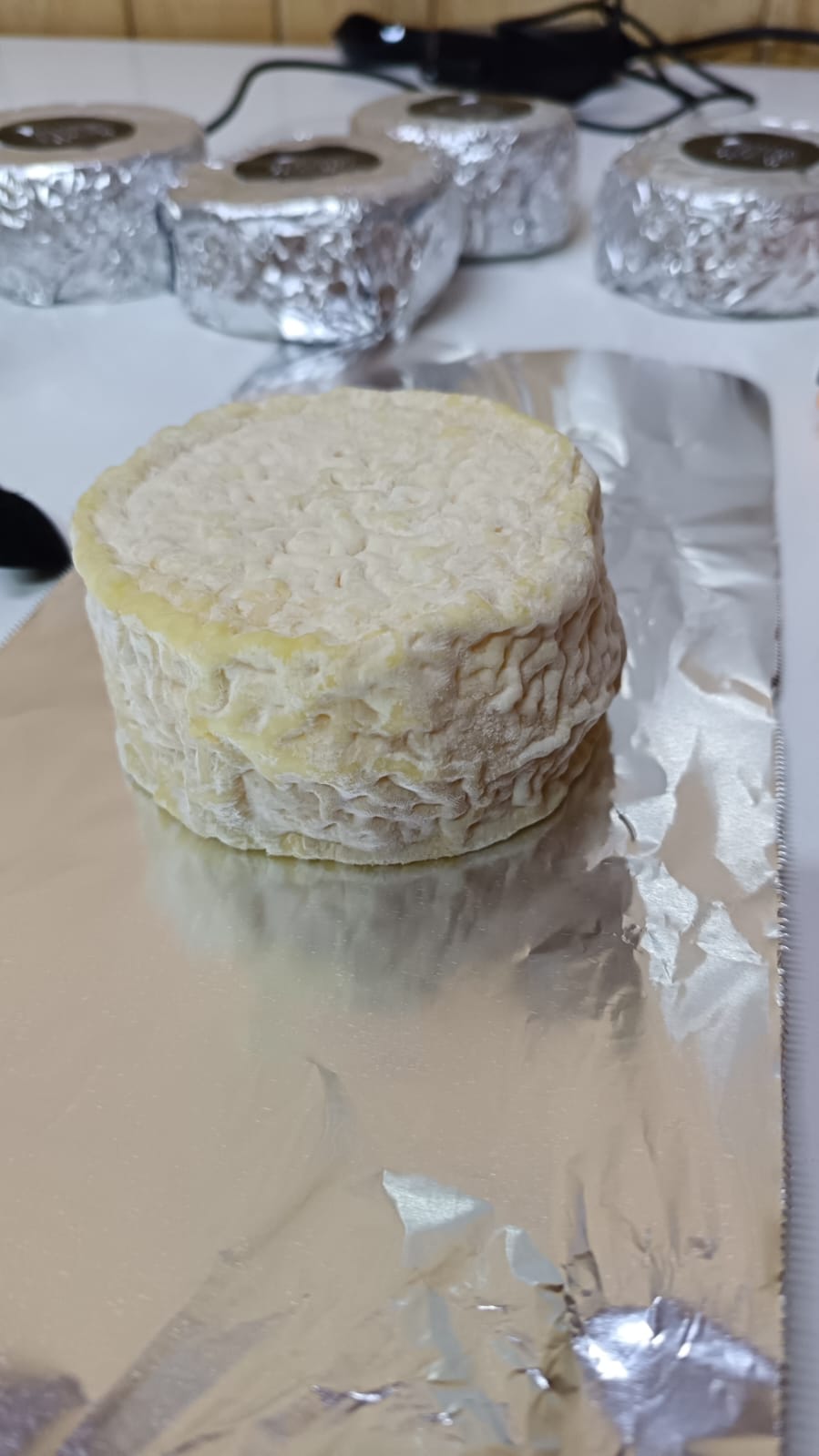 Crottin de oveja