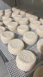 Crottin de oveja - Imagen 2
