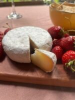 Queso Pasta Blanda (tipo camembert)